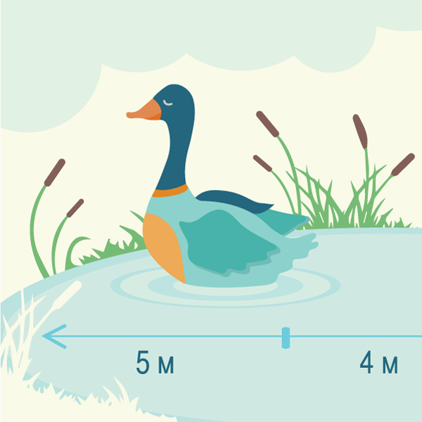 Усне додавання і віднімання двоцифрових чисел з переходом через розряд